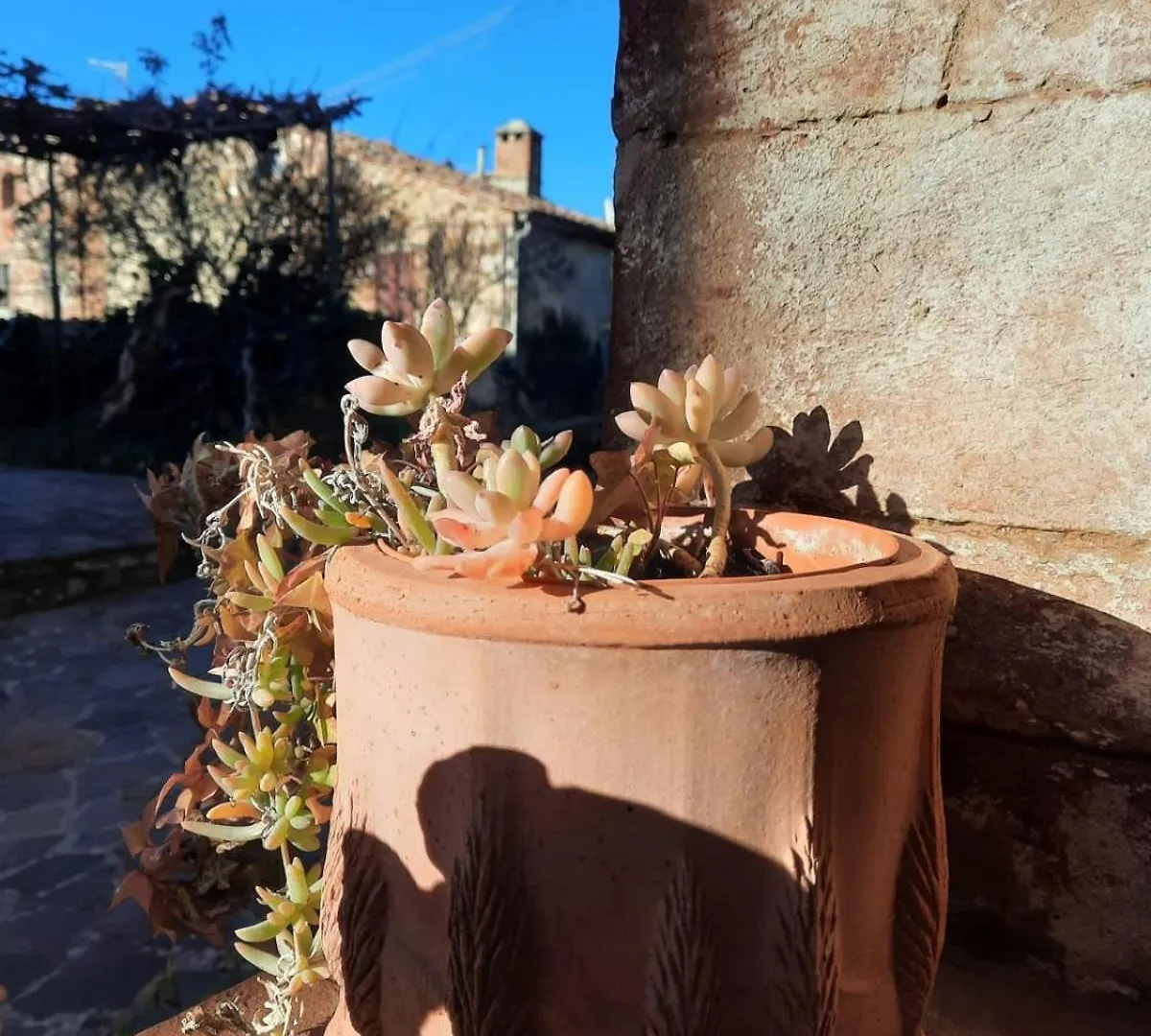 Casa vacanze Villa Al Piccolo Ulivo, a casa di Mimo&Sè Castiglione dʼOrcia Italia