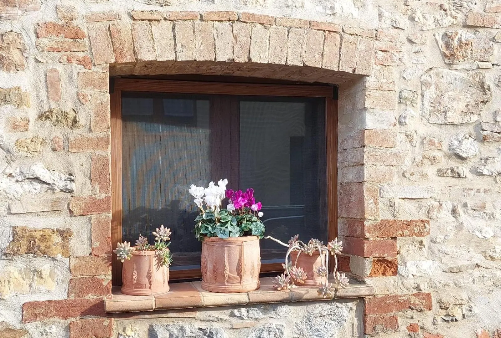 Villa Al Piccolo Ulivo, a casa di Mimo&Sè Castiglione dʼOrcia Casa vacanze