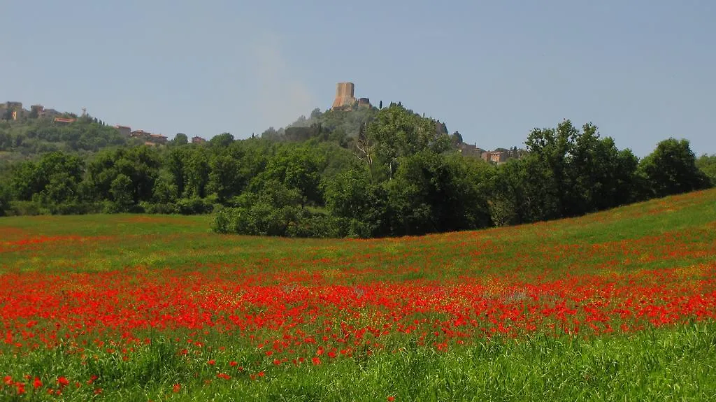 Villa Al Piccolo Ulivo, a casa di Mimo&Sè Castiglione dʼOrcia 0*,