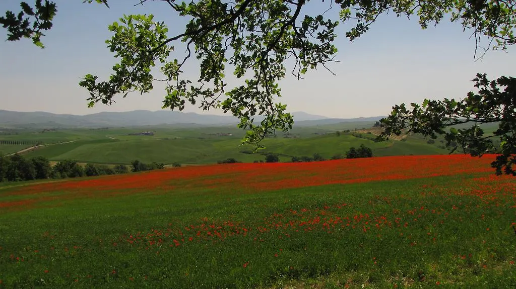 Villa Al Piccolo Ulivo, a casa di Mimo&Sè Castiglione dʼOrcia Casa vacanze