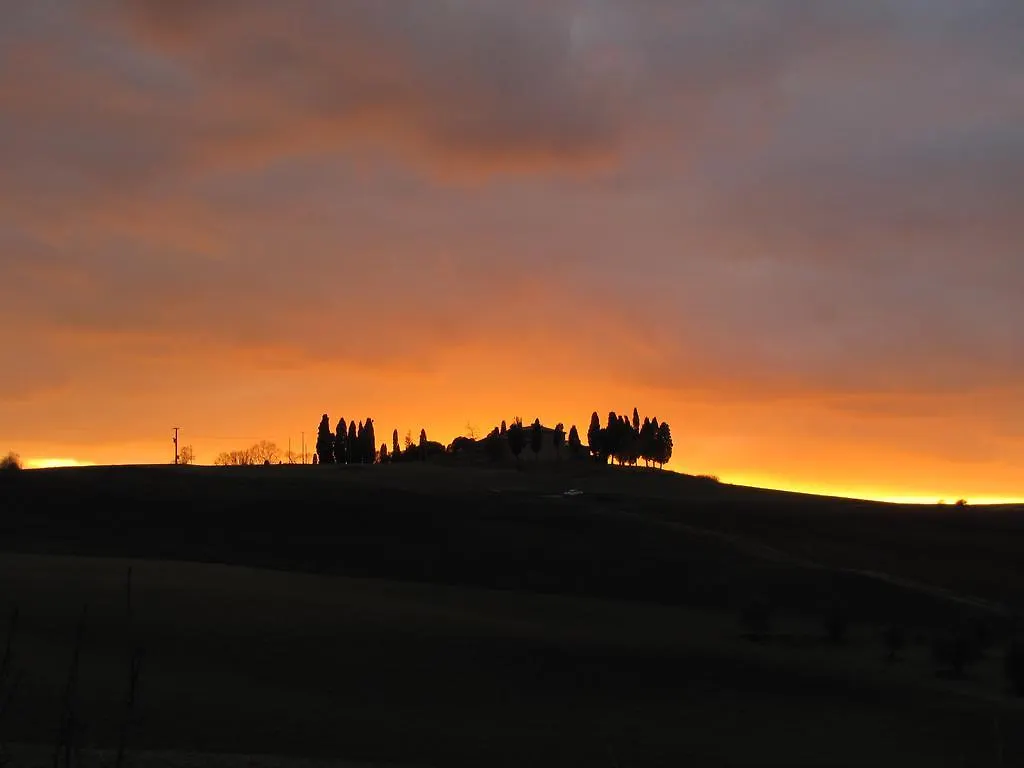 Casa vacanze Villa Al Piccolo Ulivo, a casa di Mimo&Sè Castiglione dʼOrcia