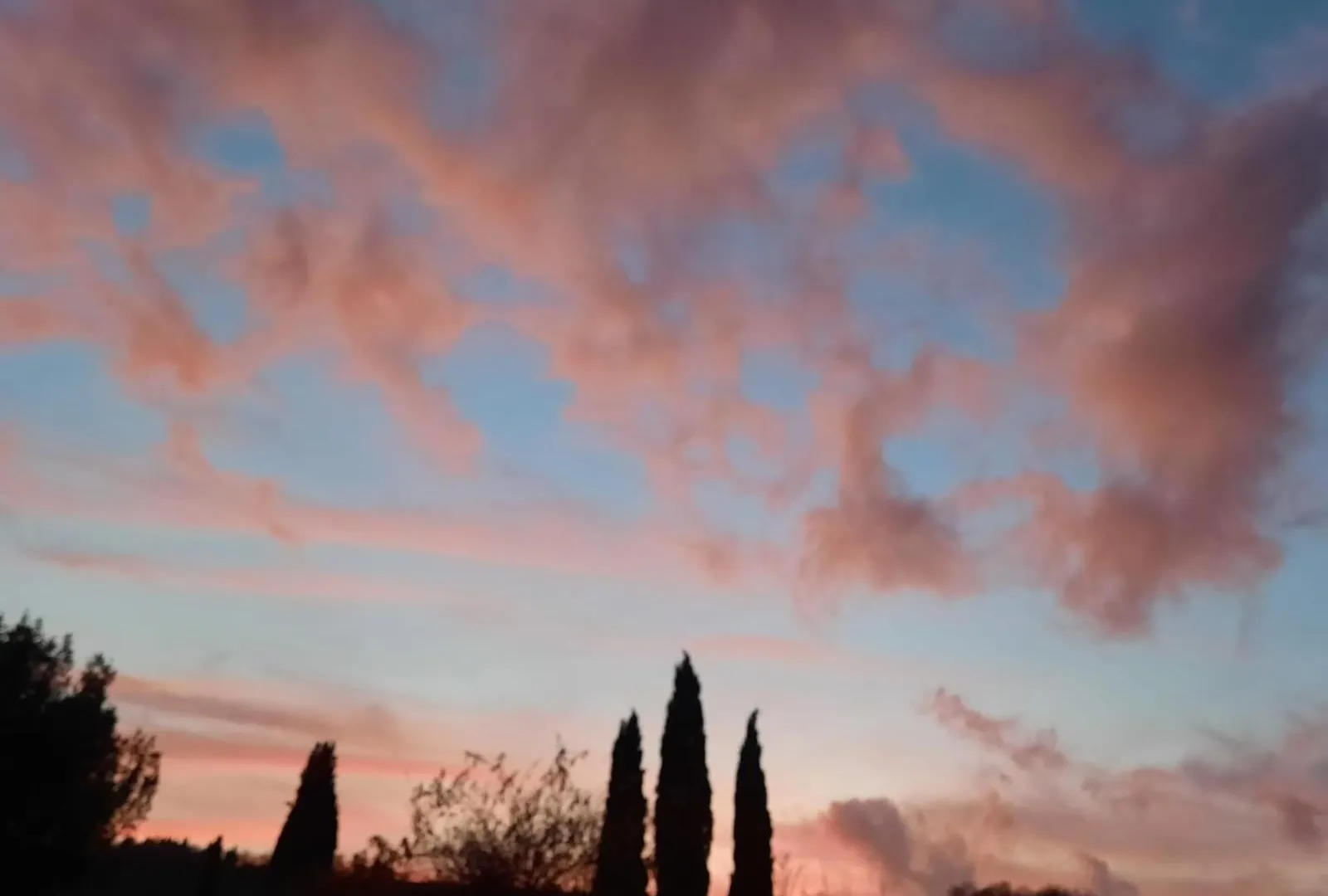 Holiday home Al Piccolo Ulivo, A Casa Di Mimo&Se Villa Castiglione d'Orcia
