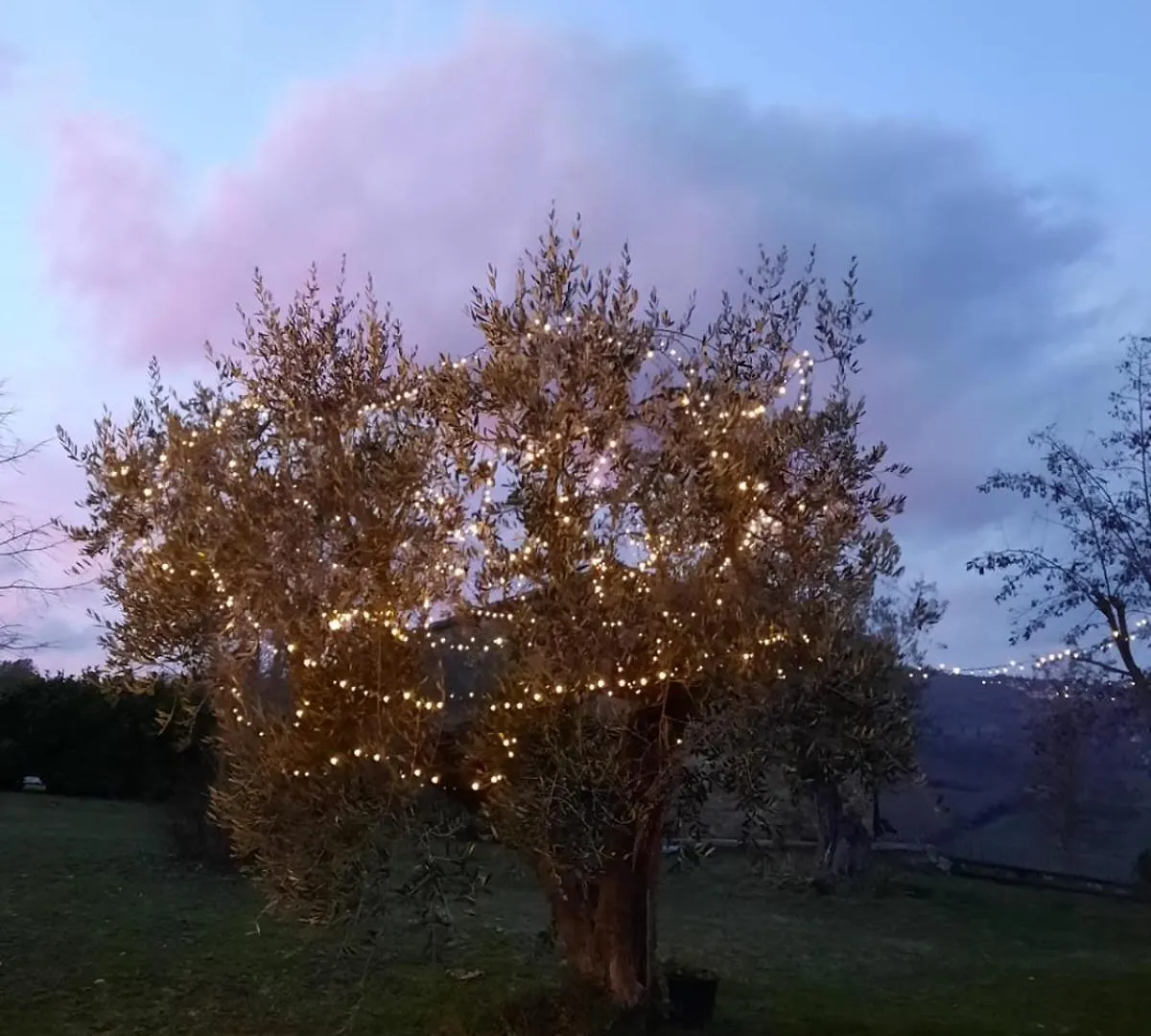 Holiday home Al Piccolo Ulivo, A Casa Di Mimo&Se Villa Castiglione d'Orcia